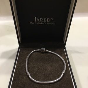 Pandora Iconic Charm Bracelet